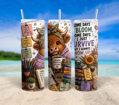 Highland Cow Chaos Collection | 10 Funny Highland Cow PNG Tumbler Wrap Designs | 20oz Sublimation Bundle